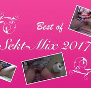 SUESSE6MAUS: Best of Sekt-Mix 2017 Download