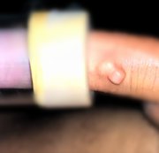 ICECREAMMAN3: Play time mit der Venus Download