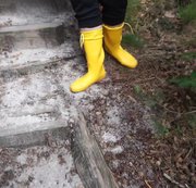 FEUCHTEPUSSY94: spaziergang im wald mit Gummistiefel Download
