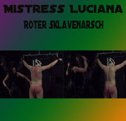 MISSTRESS-LUCIANA: Roter Sklavenarsch Download