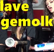 SILVACOX: Sklave abgemolken Download