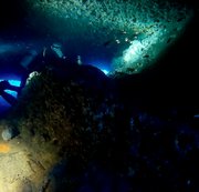 RIGGINGHERA: #Dive N°: 850 (5) Download