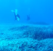 RIGGINGHERA: Dive N°: 850 (7) Download