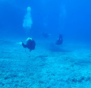 RIGGINGHERA: #Dive N°: 850 (08) Download