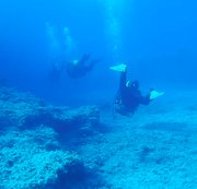 RIGGINGHERA: #Dive N°: 850 (09) Download