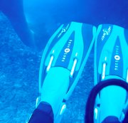 RIGGINGHERA: Dive N°: 850 (10) Download