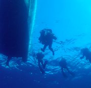 RIGGINGHERA: #Dive N°: 852 (4) Download