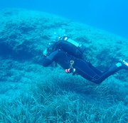 RIGGINGHERA: #Dive N°: 853 (2) Download