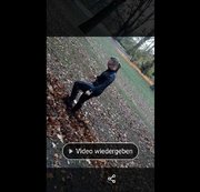 DIEDUNKLEMEL: MIT CAT IM PARK Download