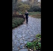 DIEDUNKLEMEL: DAS CAT IST SUPER Download