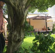 COSTAS_ANTONIS: Spanner fickt Nachbarin im Garten Download