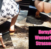 HORNYROSE: Wasserfall am Strassenrand Download