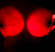 LADYKISA: This you have not seen! Glow boobs! Download