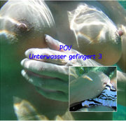 LYNLI: POV: Unterwasser gefingert 3 Download