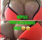 SEXXY-ANGIE: MÖPSEE SOO RIESENGRoß &GEIL !! Download