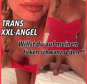 TSXXL-ANGEL23X6: TSXXL-ANGEL23X6 Willst du auf meinen dicken Schwanz reiten !! Download