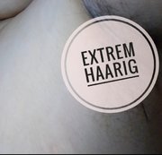 MOLLIGEKLEINESIE83: Extrem Haarig Download