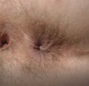 MIODELKA: Fingering my hairy asshole Download