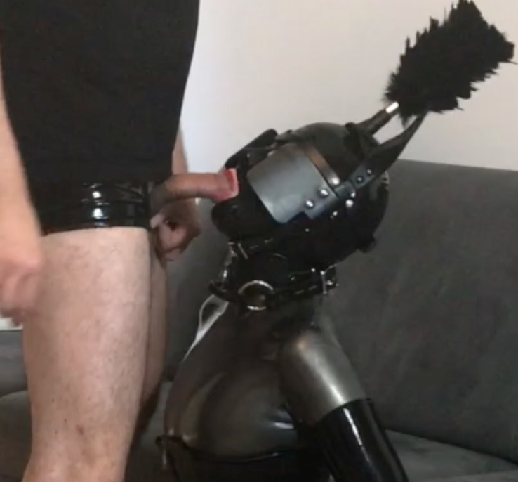 Bupshi - latex pony girl training
