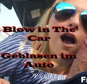 FREEDUO: Blow in The Car / Geblasen im Auto Download