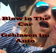 FREEDUO: Blow in The Car part 2 / Blasen im auto Teil 2 Download