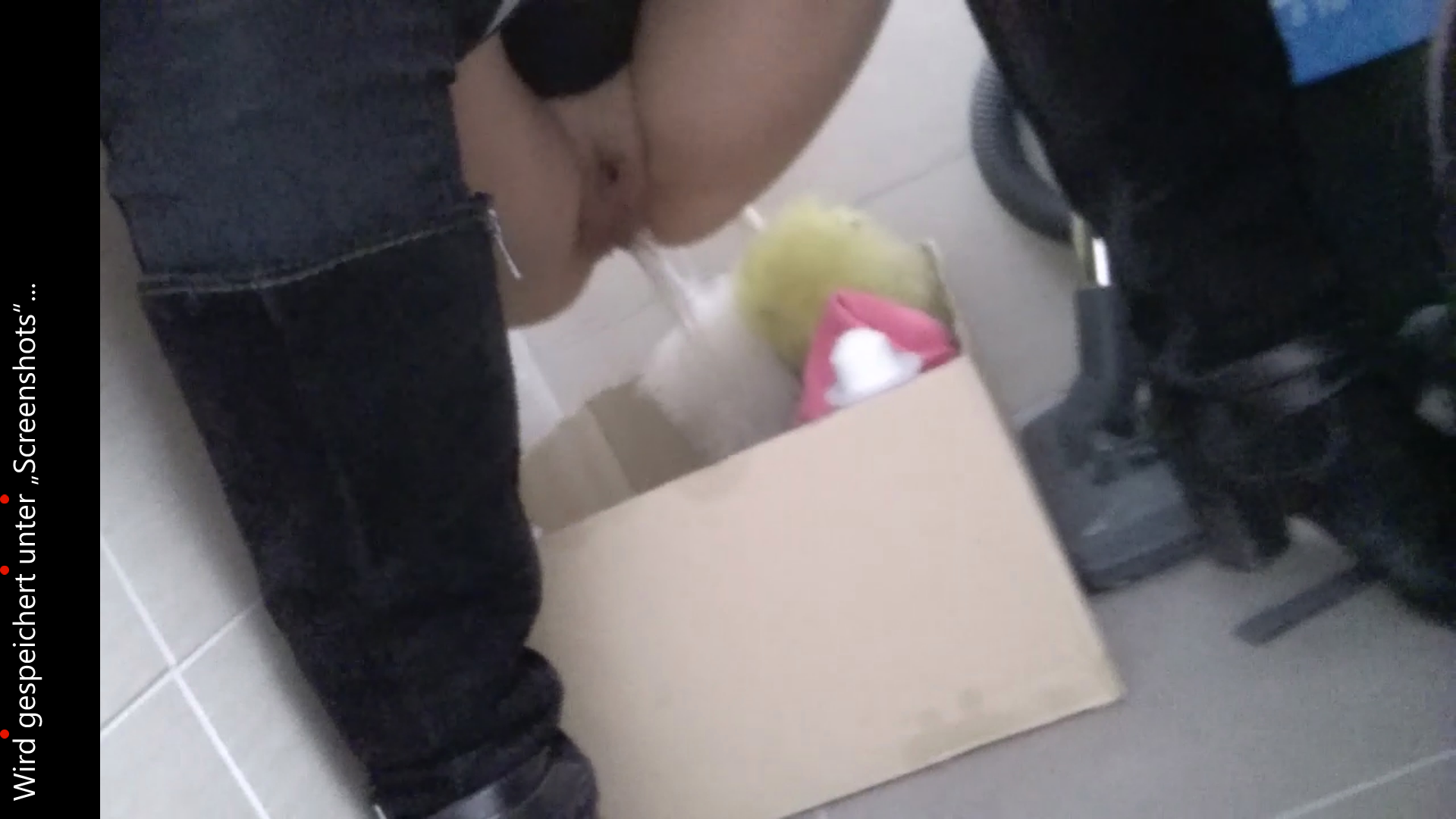 three piss in a cardboard box