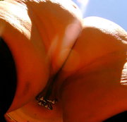 ANALRING: ANALRING - VON UNTEN Download