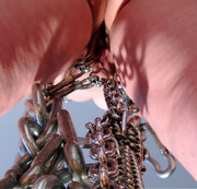 ANALRING: ANALRING = DEVOTE FOTZEN MIT 10 KG EDELSTAHL !!!!! Download