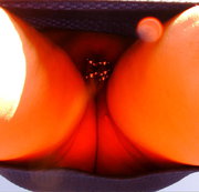 ANALRING: UPSKIRT.....UNTEN OHNE = ANALRING !! Download