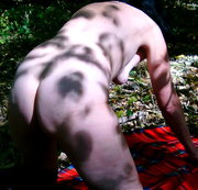 ANALRING: HEFTIG ...VON HINTEN IN........ BEIDE FICKLÖCHER ??? MELDEN BEI ANALRING !!! Download