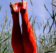 ANALRING: ALLES IN ROT = ANALRING !!! Download