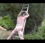 DOMINALADYSUSAN: Outdoor Astspanking Download