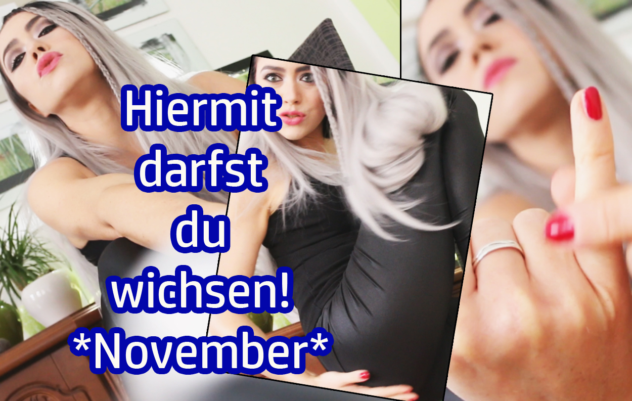 Hereby you may jerk off - Wich Permission November