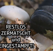 MADAMESVEA: RESTLOS ZERMATSCHT und EINGESTAMPFT! Download
