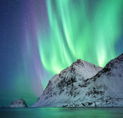 CYUSER08112018-1: test video - do not purchase Download