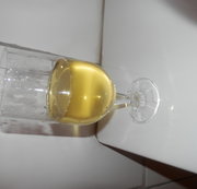 LUCY3103: Trink meine Pisse Download