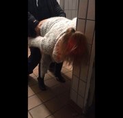 PERVERSE-EHESTUTE: auf dem rastplatz klo anonym abgefickt Download