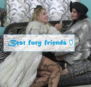 NOVA-NILLA: Best fury friends Download