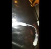 LACKLADY86: Habe mich schön von vorne ficken lassen mit geilem cumshot auf meine lackleggins Download