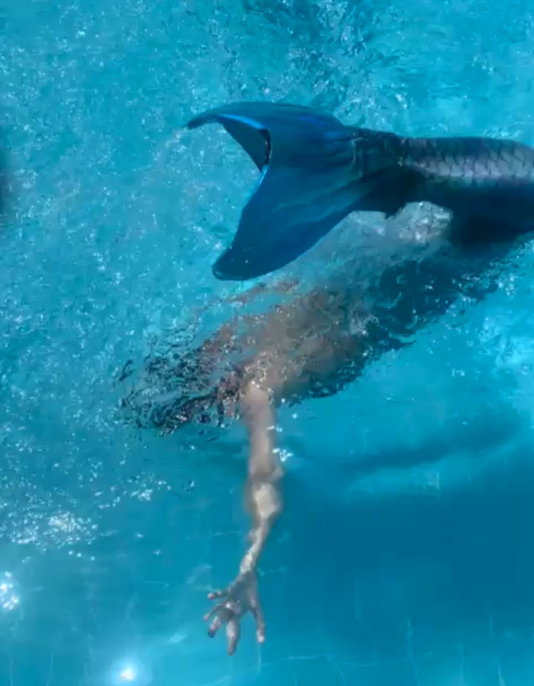 submerged