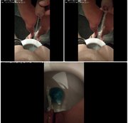 SHANZINE: Pissen und angepisst werden Download