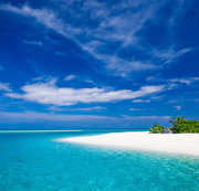 VIETNAMQA: testtest001 Download