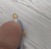 STROKEWITHME: The giant will crush you with his huge dick!! Download