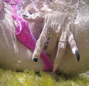 VIOLETTAANGEL: Mallorca-unter-Wasse-Spass Download
