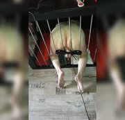 TAUNUSSTEINERIN: Sammelalbum - Im Käfig 1 Download