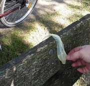BLASFLITTCHEN: Fussbesamung mit gefundenen Sperma Download