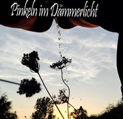 DOMINIQUE-PLASTIQUE: Pinkeln im Dämmerlicht Download