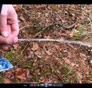 OPTIMIST521: Kurzer Piss im Wald Download
