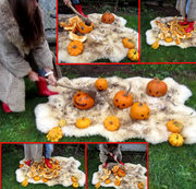 PRIA_HOTLEGS: Halloweenkürbis-Crushing in Gummistiefeln auf Schaffell Download