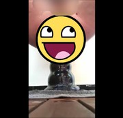 Analsex
